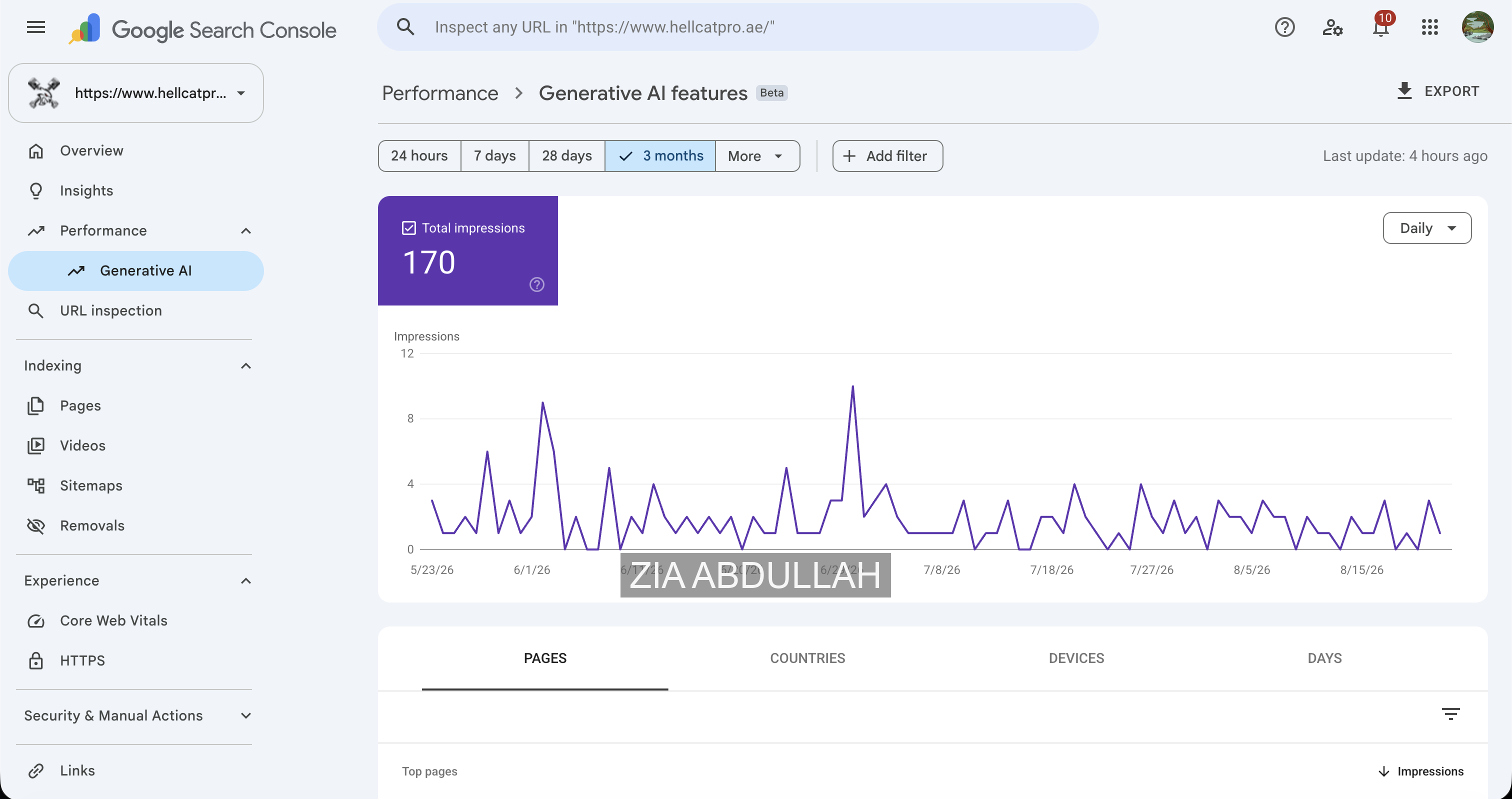HELL-CAT Pro generative AI search impressions report