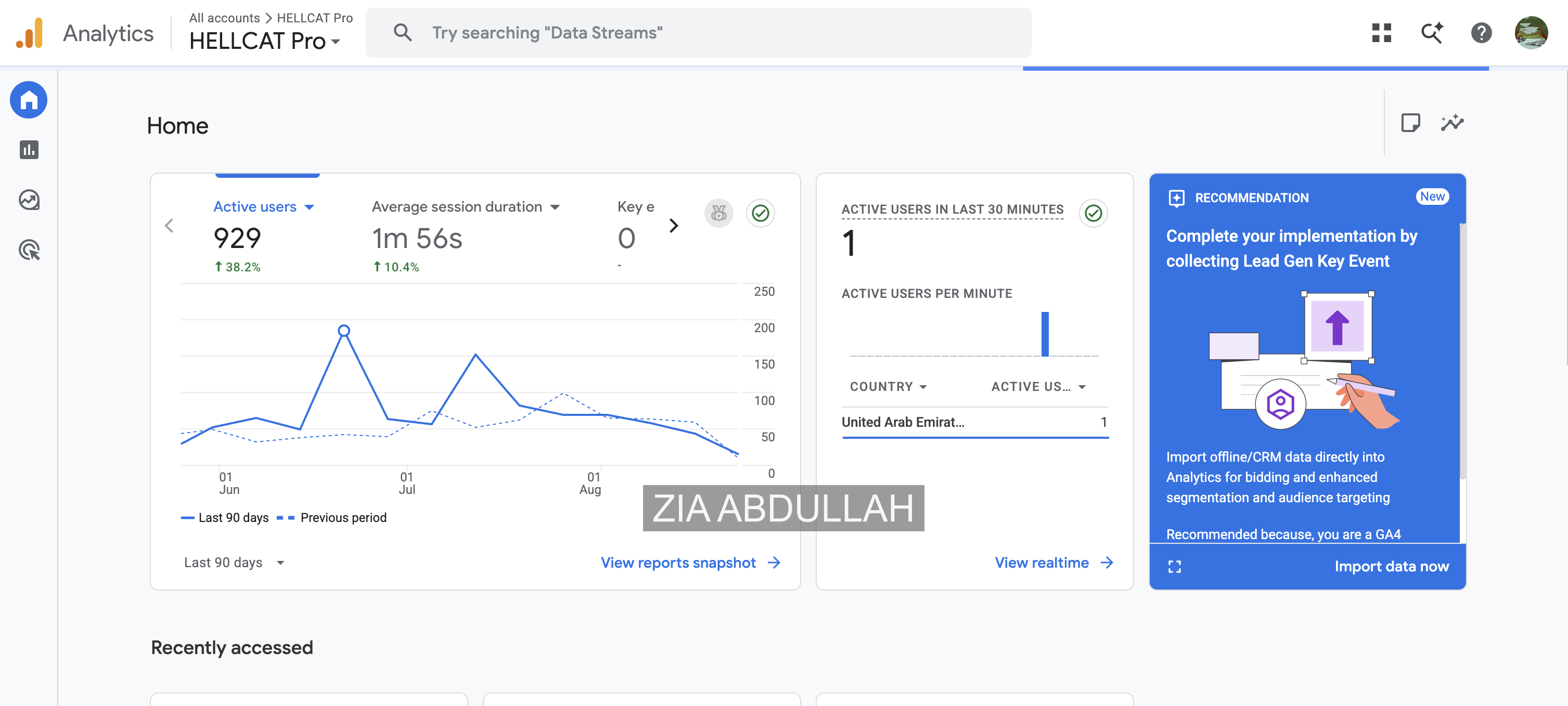 HELL-CAT Pro Google Analytics overview