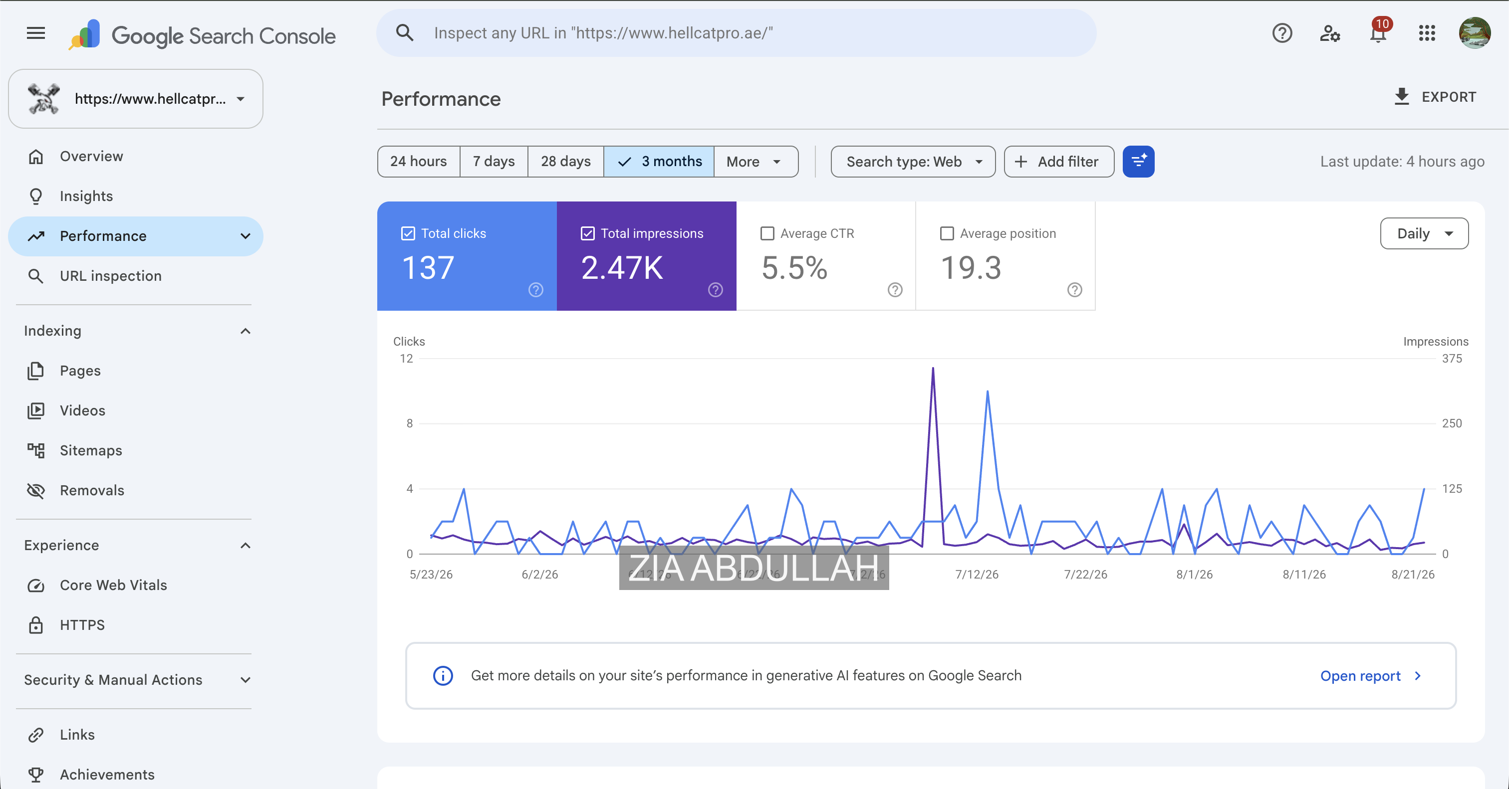 HELL-CAT Pro Google Search Console performance report